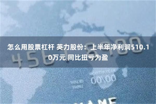 怎么用股票杠杆 英力股份：上半年净利润510.10万元 