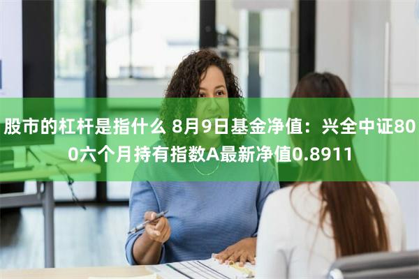 股市的杠杆是指什么 8月9日基金净值：兴全中证800六个月持