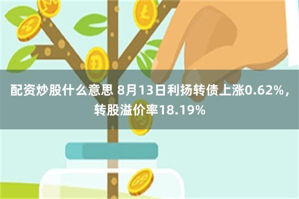 配资炒股什么意思 8月13日利扬转债上涨0.62%，转股溢价