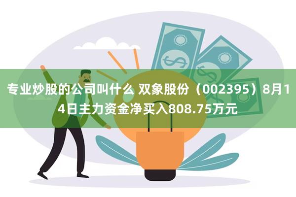 专业炒股的公司叫什么 双象股份（002395）8月14日主力资金净买入808.75万元