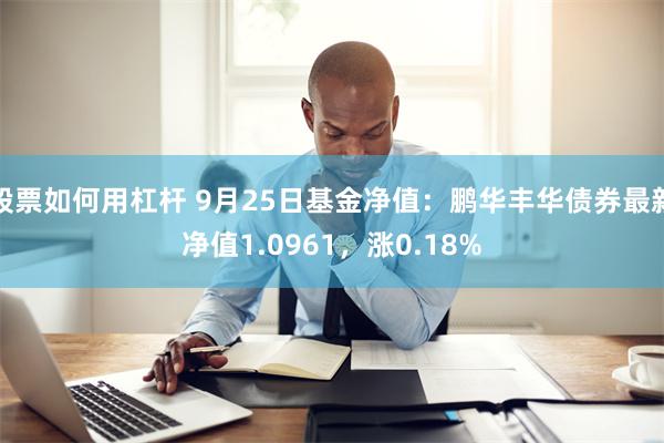 股票如何用杠杆 9月25日基金净值：鹏华丰华债券最新净值1.0961，涨0.18%