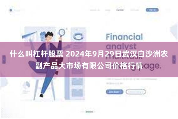 什么叫杠杆股票 2024年9月29日武汉白沙洲农副产品大市场有限公司价格行情