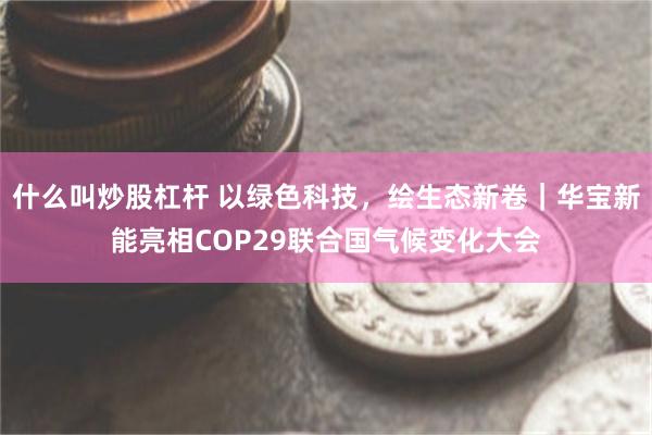 什么叫炒股杠杆 以绿色科技，绘生态新卷｜华宝新能亮相COP29联合国气候变化大会