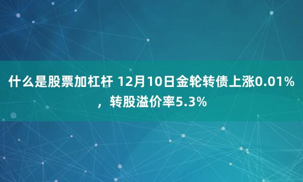 什么是股票加杠杆 12月10日金轮转债上涨0.01%，转股溢价率5.3%