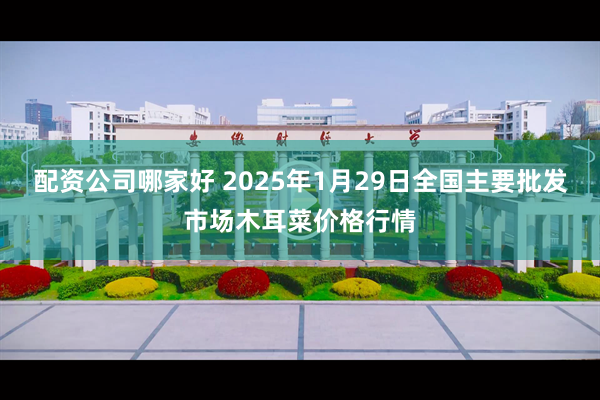 配资公司哪家好 2025年1月29日全国主要批发市场木耳菜价格行情