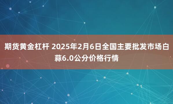 期货黄金杠杆 2025年2月6日全国主要批发市场白蒜6.0公分价格行情