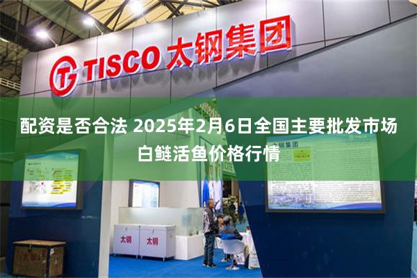 配资是否合法 2025年2月6日全国主要批发市场白鲢活鱼价格行情