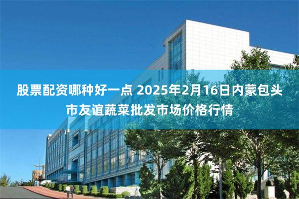 股票配资哪种好一点 2025年2月16日内蒙包头市友谊蔬菜批发市场价格行情