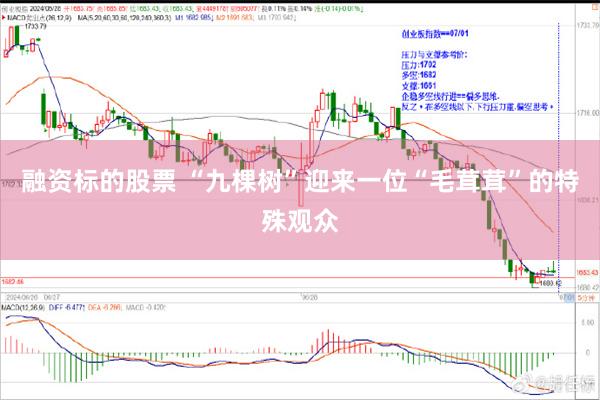 融资标的股票 “九棵树”迎来一位“毛茸茸”的特殊观众