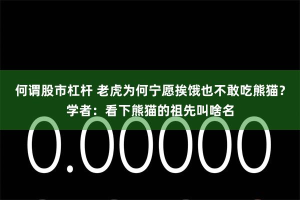 何谓股市杠杆 老虎为何宁愿挨饿也不敢吃熊猫？学者：看下熊猫的祖先叫啥名