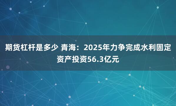 期货杠杆是多少 青海：2025年力争完成水利固定资产投资56.3亿元