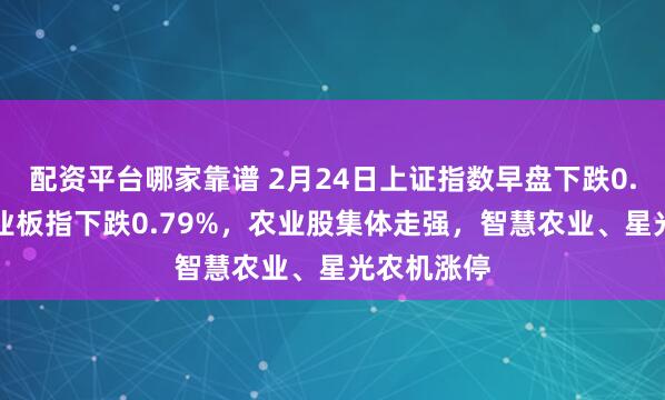 配资平台哪家靠谱 2月24日上证指数早盘下跌0.11%，创业板指下跌0.79%，农业股集体走强，智慧农业、星光农机涨停