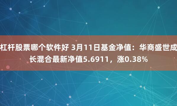 杠杆股票哪个软件好 3月11日基金净值：华商盛世成长混合最新净值5.6911，涨0.38%