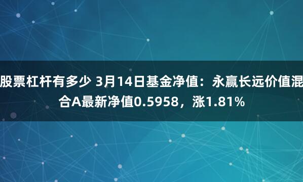 股票杠杆有多少 3月14日基金净值：永赢长远价值混合A最新净值0.5958，涨1.81%